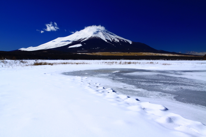 30年2月の富士（10）山中湖畔の富士_e0344396_12185882.jpg