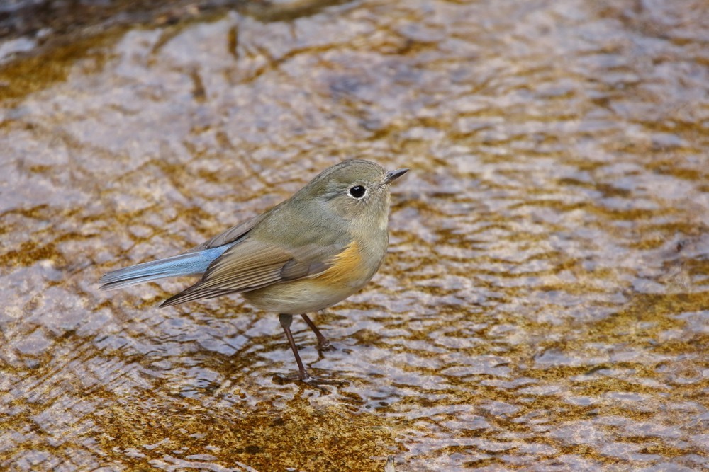 f0235311_20121747.jpg