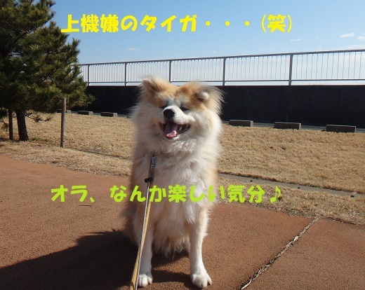 f0121712_14311176.jpg