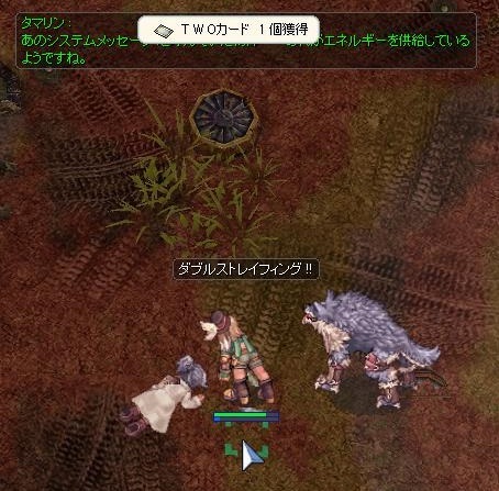 茶色い地面に白いカードはよく映える のんびり楽しむro日記