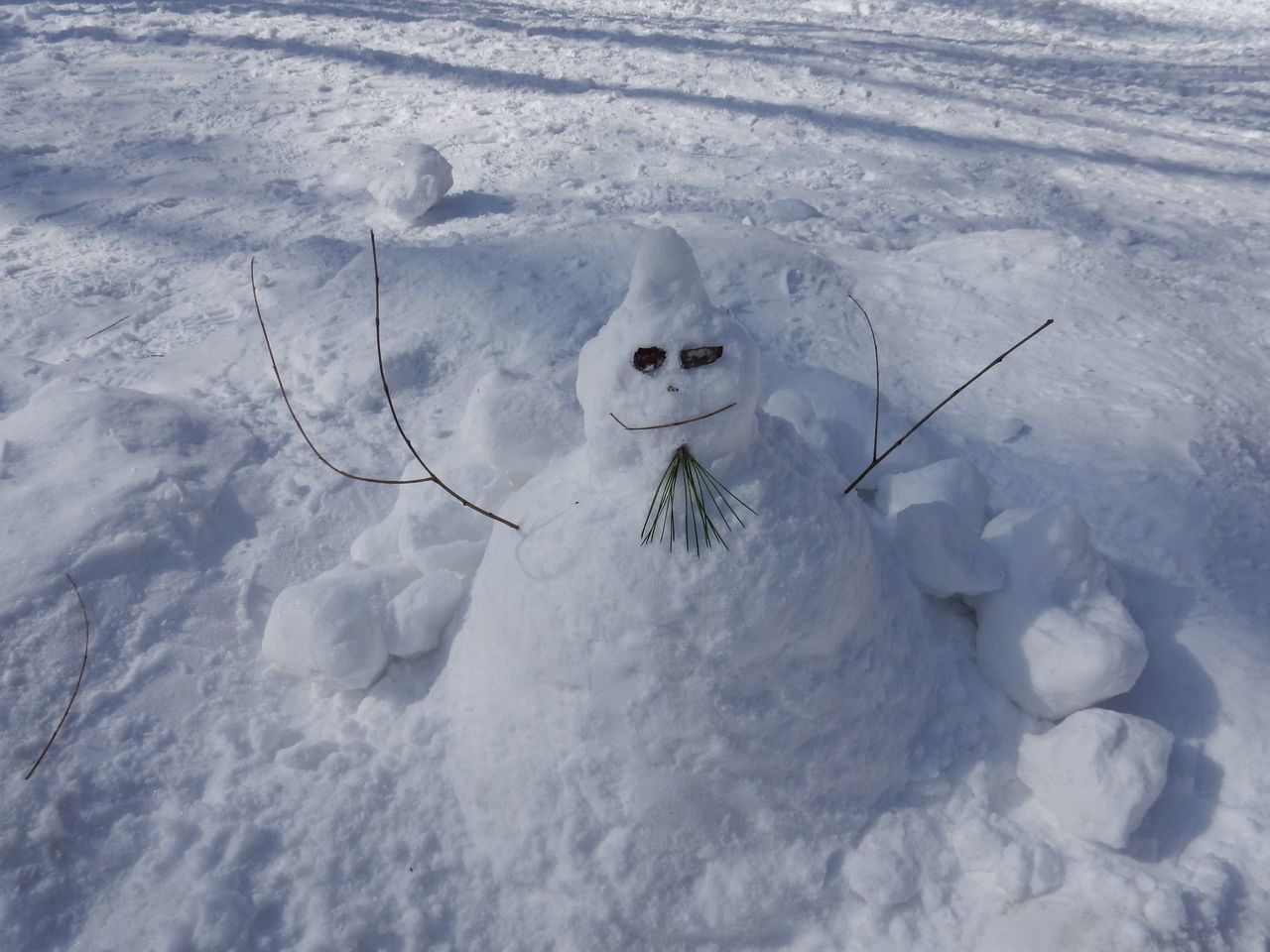 中央ローンの雪だるままつり_c0025115_23081969.jpg