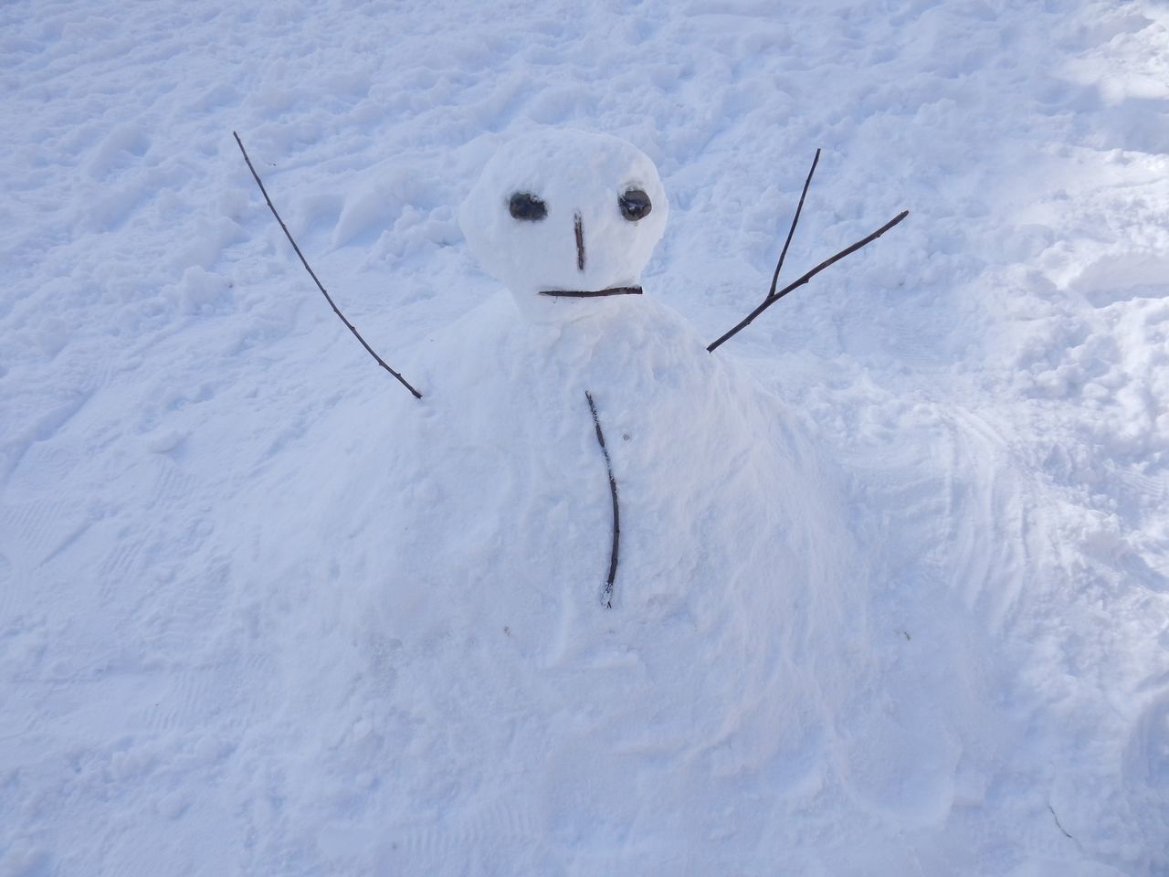 中央ローンの雪だるままつり_c0025115_23082491.jpg