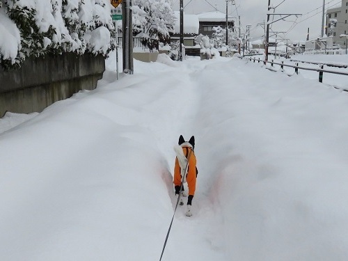 雪が融けちゃう前に_c0084117_18414143.jpg