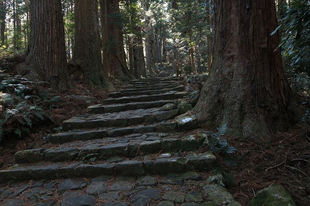 熊野古道、大門坂を散策_e0321325_19322890.jpg