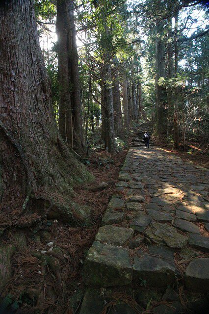 熊野古道、大門坂を散策_e0321325_19351718.jpg