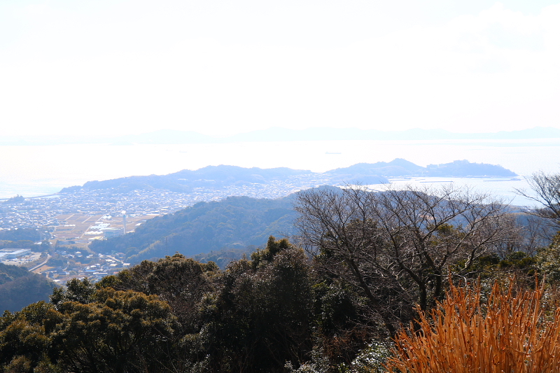 突発的 静岡・愛知遠征2日目（月曜日）_a0222229_4205625.jpg