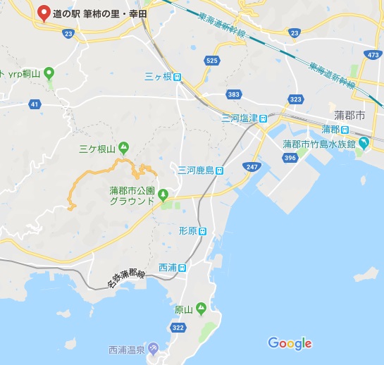 突発的 静岡・愛知遠征2日目（月曜日）_a0222229_4261955.jpg