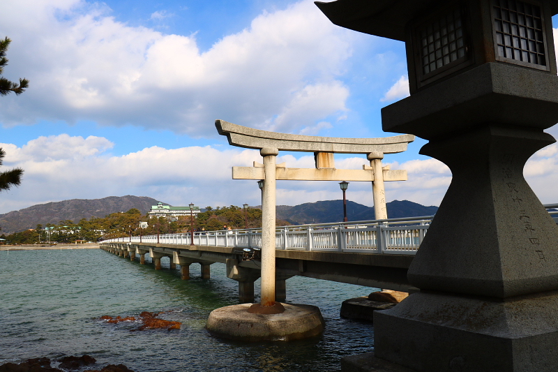 突発的 静岡・愛知遠征2日目（月曜日）_a0222229_4431281.jpg