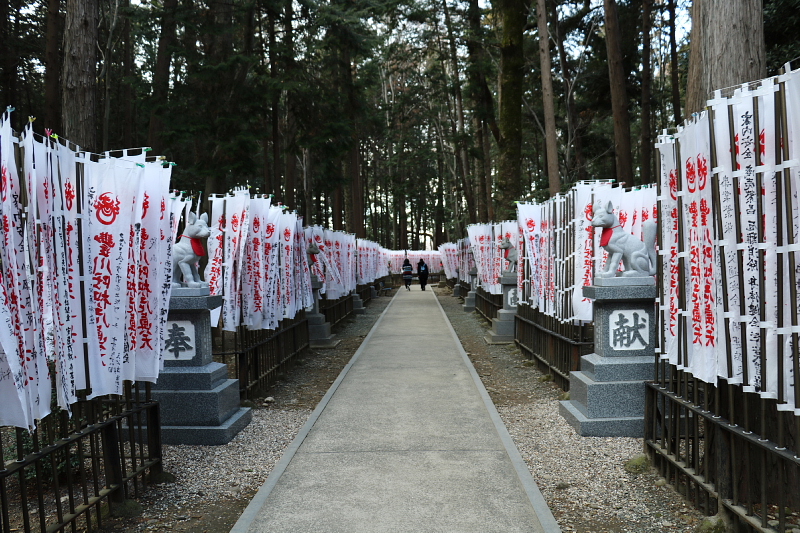 突発的 静岡・愛知遠征2日目（月曜日）_a0222229_4452123.jpg