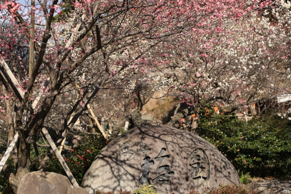 f0229832_22430971.jpg