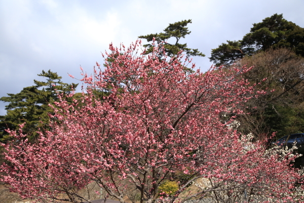 f0229832_22434384.jpg