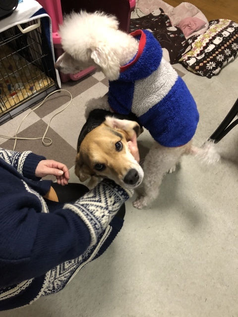 b0031538_23070496.jpeg