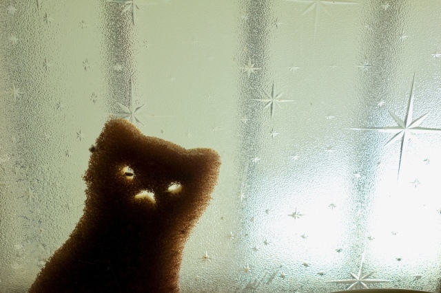 スポンジの猫_d0101846_07093245.jpeg