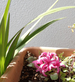 d0197949_22530129.gif
