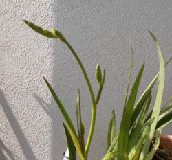 d0197949_22533212.gif