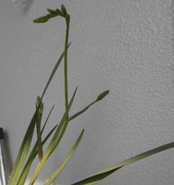 d0197949_22542734.gif