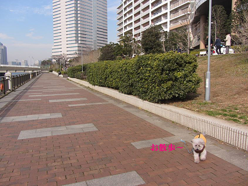e0129656_23053201.jpg