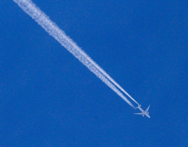 a0248459_15461777.jpg