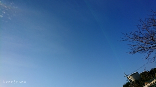 d0362666_18201734.jpg