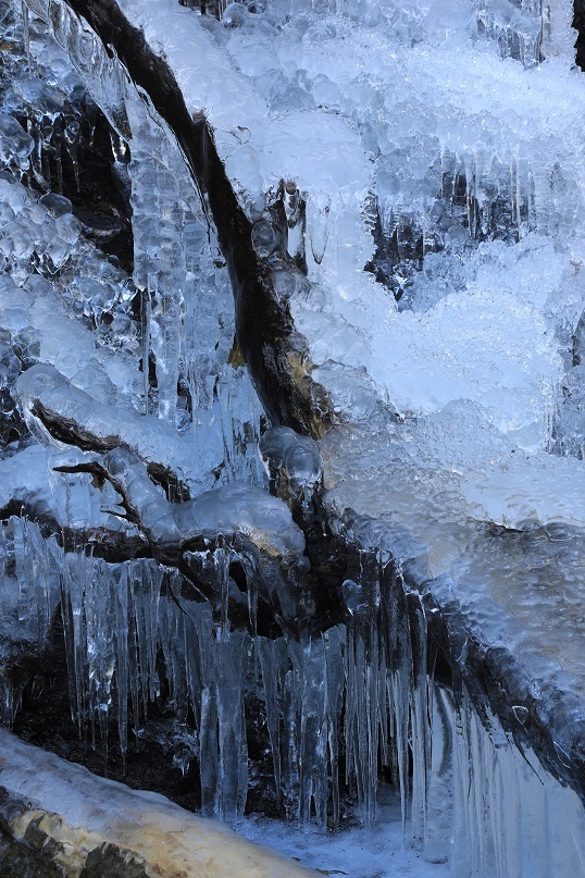 e0304170_18450040.jpg