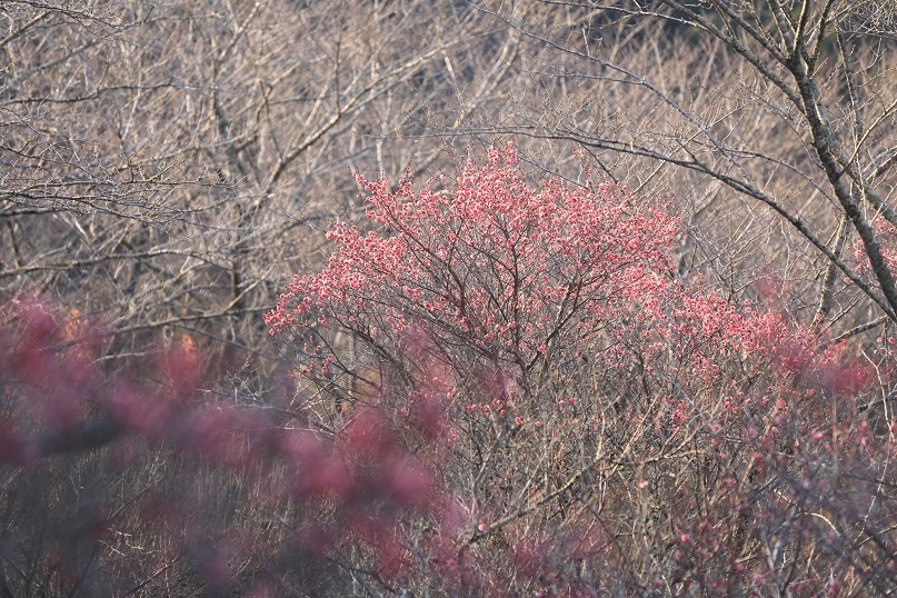 e0304170_18521964.jpg