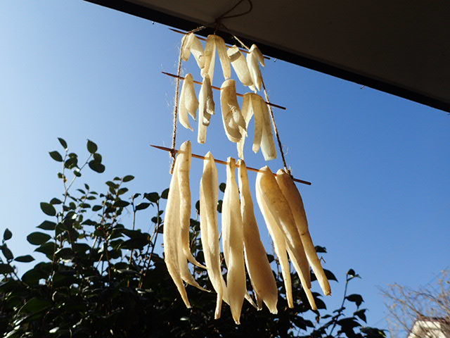f0224772_22430072.jpg