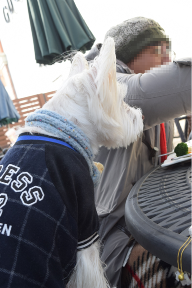 b0242873_00014347.png
