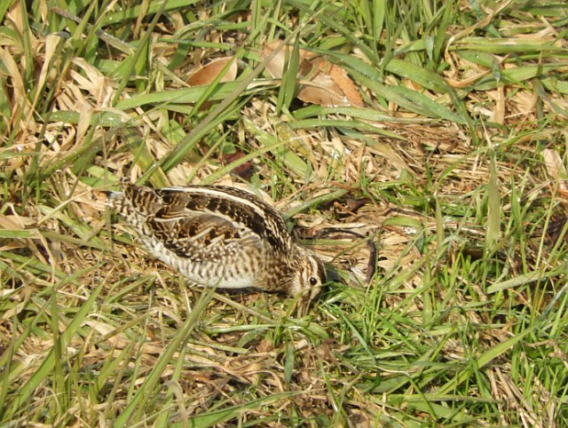 f0378979_14583643.jpg