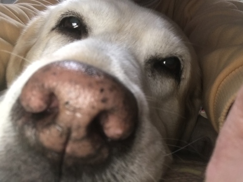 f0315081_20474540.jpeg