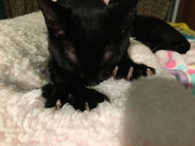 b0377882_17300982.jpeg