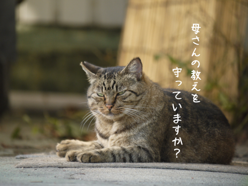 a0216583_11133413.png