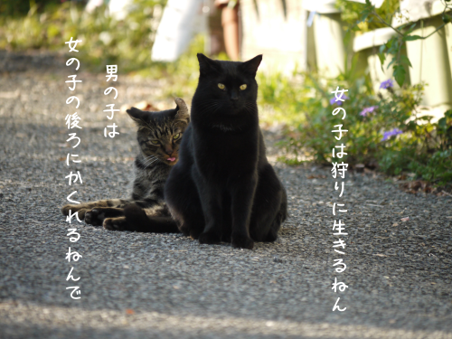 a0216583_11133784.png