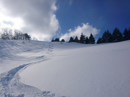 続・山スキートレ_c0018489_00255646.jpg