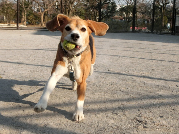 a0319693_8101262.jpg