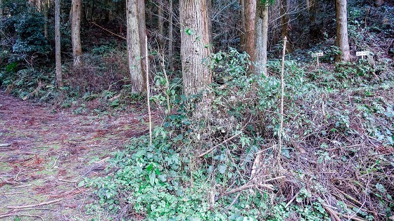 e0176993_07484095.jpg