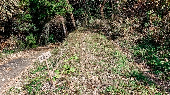 e0176993_07484162.jpg