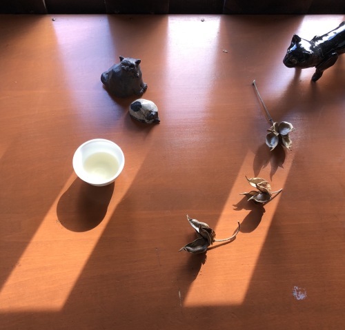 f0215094_17082101.jpeg