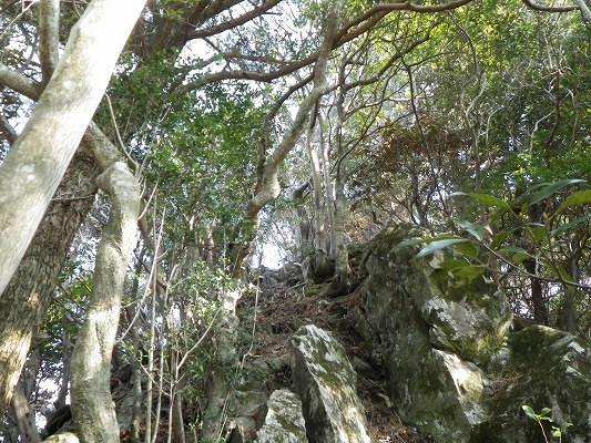f0187402_18164998.jpg