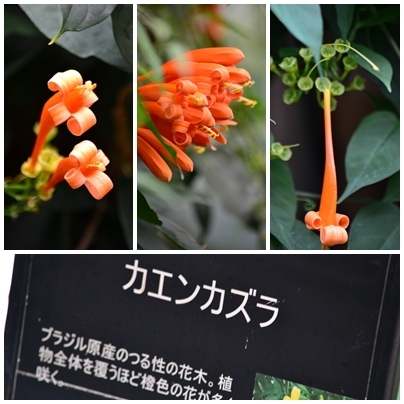 a0240403_09241859.jpg
