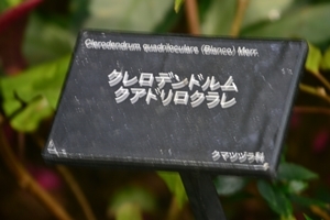 a0240403_09254881.jpg