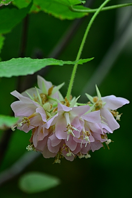 a0240403_09264623.jpg