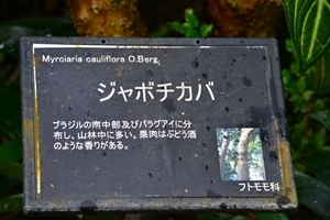 a0240403_09271050.jpg