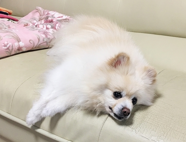 まだ終わらんよ_d0360206_02480062.jpg