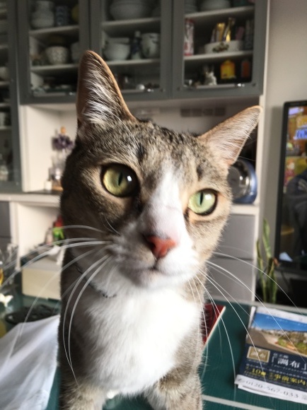 c0109109_00112098.jpeg