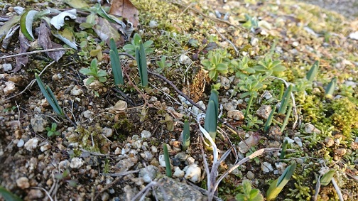 f0228619_2110419.jpg