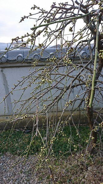 f0228619_217305.jpg