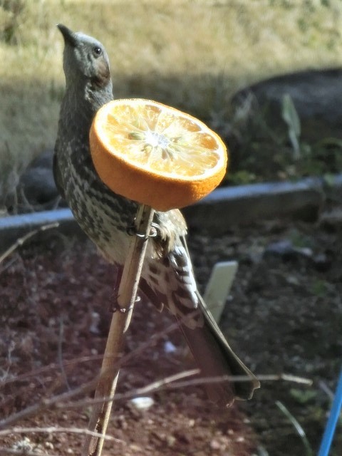 f0354923_22121509.jpg