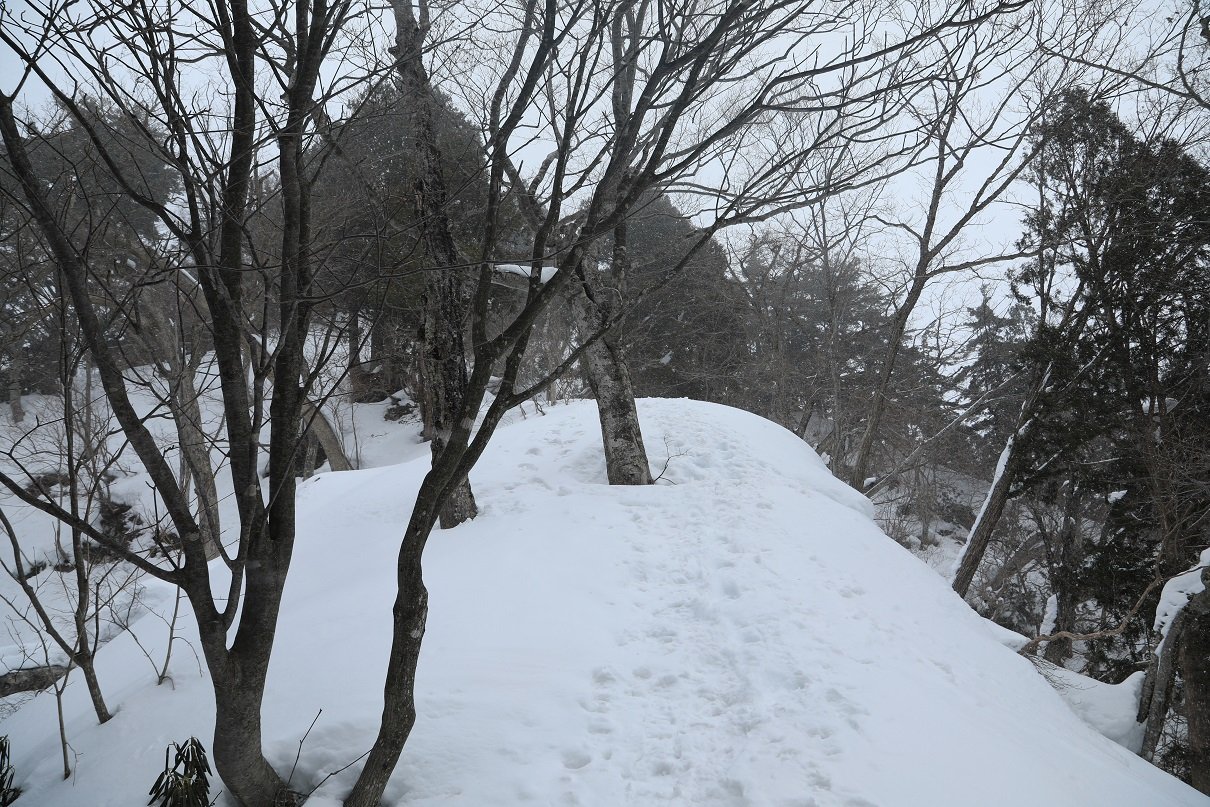 b0062024_23342728.jpg