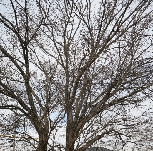 完熟の水平対向六気筒エンジン搭載車_f0076731_19101733.jpg