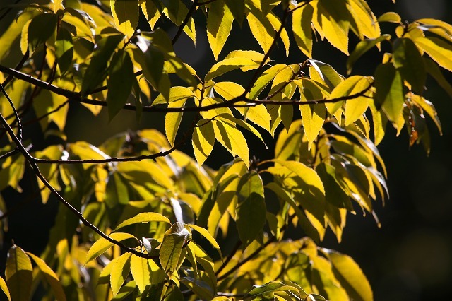 a0242438_18280706.jpg
